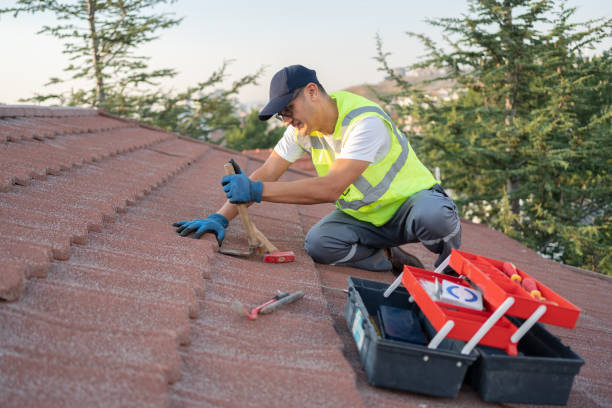 Best Metal Roofing Contractor  in Weyers Cave, VA