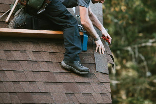 Best Gutter Installation and Roofing  in Weyers Cave, VA
